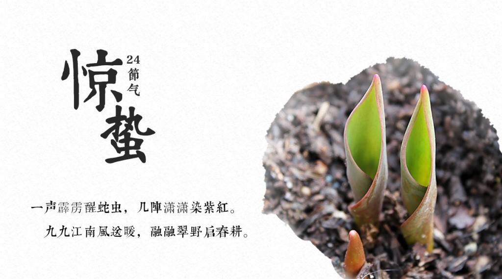 餐飲空間設計你現在不搞,那要等什么時候搞